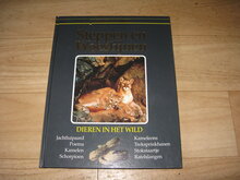 Steppen-en-woestijnen