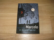 Francisco-X.-Stork-Marcelo-en-de-echte-wereld