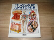 Atlas-van-de-Anatomie