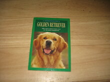 Hondengids-Golden-Retriever