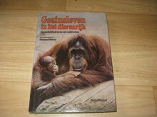 Gezinsleven-in-het-dierenrijk
