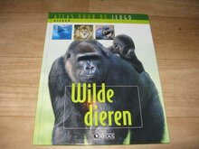 Wilde-dieren