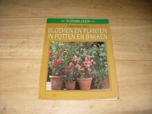 Bloemen-en-planten-in-potten-en-bakken