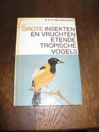 Grote-insekten-en-vruchten-etende-tropische-vogels