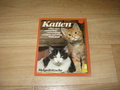 Katten